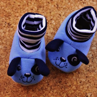 Blue Puppy Shoe